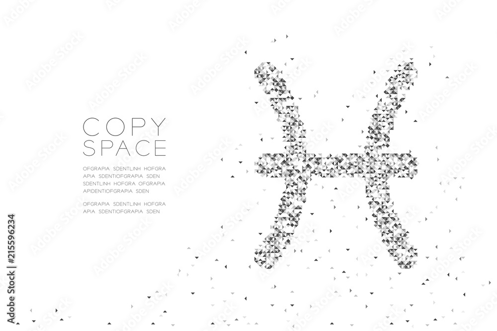 Poster abstract geometric low polygon square box pixel and triangle pattern pisces zodiac sign shape, star 