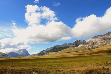 The sound of silence