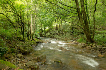Way of santiago in the pirneos by valcarlos