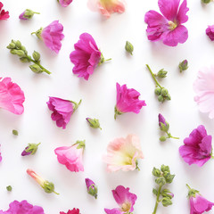 Composition pattern from plants, wild flowers and  berries, isolated on white background, flat lay, top view.