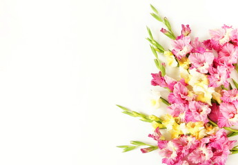 Gladioluses on white background. Pattern of gladioli, holiday greeting card. Flat lay, top view. Flowers background. Frame of flowers. Copy space