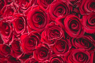 fresh dark red roses close up texture background for St. Valentine's Day