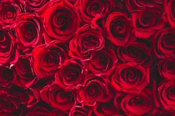 Raamstickers fresh dark red roses close up texture background for St. Valentine's Day © kapichka