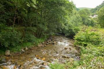 Way of santiago in the pirneos by valcarlos