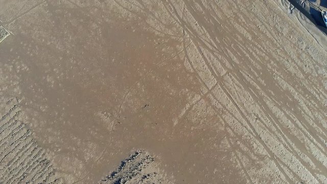 lauf au shan - pak nai mudflat in hong kong