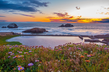 Sutro Bath House