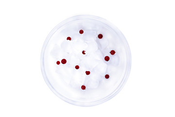 a bowl of ice and red currant