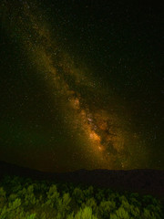 Milky Way Nights