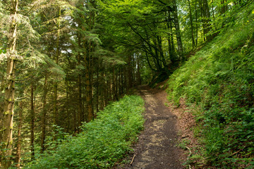 Way of santiago in the pirneos by valcarlos