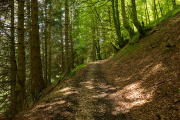 Way of santiago in the pirneos by valcarlos