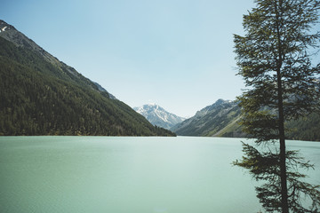 shore of a mountain lake. Turquoise water of lake Shainsky. Altai mountains. Siberia. Russian...