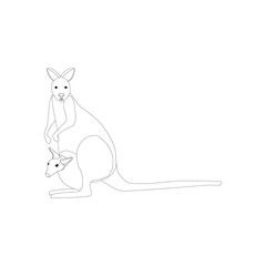 Kangaroo animal illustration