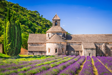 Abbaye de Senanque, Provence lavender in France