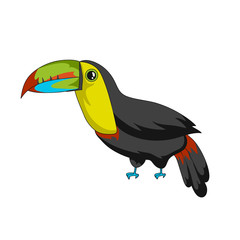 Toucan exotic bird icon