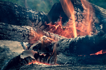 The image of logs in the burning fire.