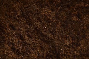 Fertile soil texture background seen from above, top view. Gardening or planting concept with copy space. Natural pattern