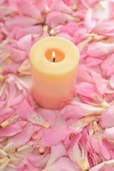 Pile of pink tropical petals and candle 
