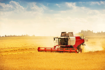 combine harvester working on golden cereal field
