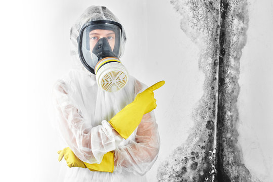 A professional disinfector in overalls and a mask points a finger at the black mold on the wall. Removal of the fungus in the apartment and house. Aspergillus..