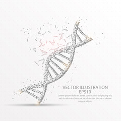 DNA strand symbol low poly wire frame on white background.