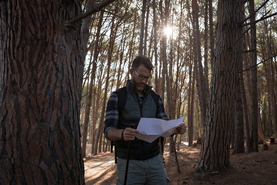 Man looking at map in forest