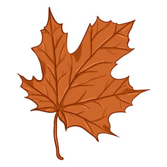 Vector Cartoon Illustration - Autumn Fallen Orange Leaf of Maple