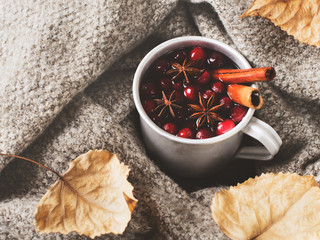 Mulled wine in cup with cranberry and spices