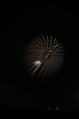 Fototapeta premium 打上げ花火