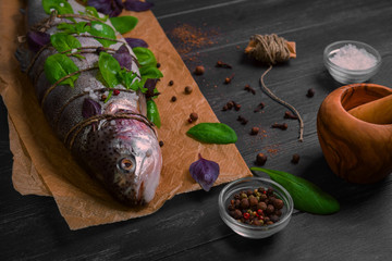 Fresh salmon fish for salting or grilling, decorated with spices and herbs. Spices for salting marinating fish basil, salt, pepper, cloves, parsley.