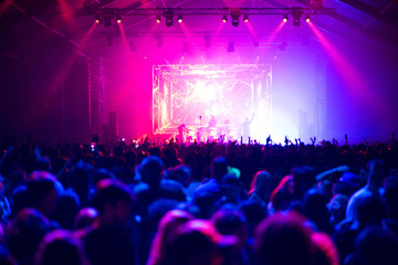 Fototapeta na wymiar Concert crowd at summer festival 