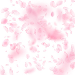 Sakura petals falling down. Romantic pink flowers falling rain. Flying petals on white square backgr