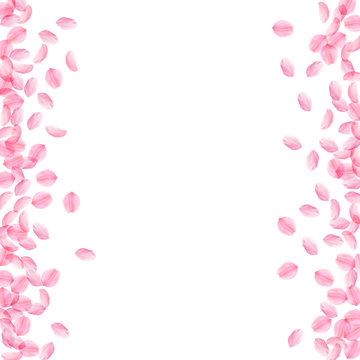 Sakura petals falling down. Romantic pink silky medium flowers. Thick flying cherry petals. Messy bo