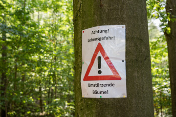 Achtung, umstürzende Bäume