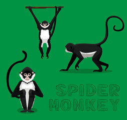 Obraz premium Ilustracja wektorowa kreskówka pająk małpa