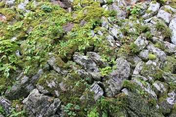 Obraz premium 長い年月を感じる石垣(愛媛県)