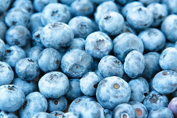 Fresh blueberry background. Blueberries texture close up