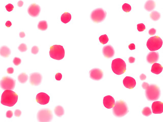 Pink rose petals falling vector valentine background.