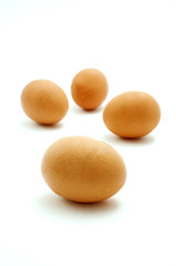 Brown chicken eggs