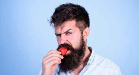 Desire concept. Oral pleasure. Man handsome strict face sexy hipster with long beard try strawberry. Hipster enjoy juicy ripe red strawberry. Man eating sweet strawberry. Gastronomic pleasure