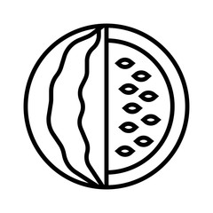 Watermelon icon vector