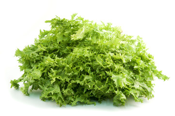 Curly endive