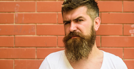 Stylish trimming beard. Beard grooming has never been so easy. Beard care tricks will keep your facial hair looking resplendent. Man urban style brutal bearded hipster brick wall background close up