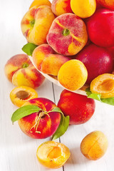 Apricots, nectarines and saturn peaches © karaidel
