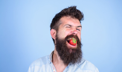 Man handsome hipster with long beard eating strawberry. Hipster cheerful enjoy juicy ripe red strawberry. Man enjoy raw fresh strawberry taste. Berry in mouth of bearded hipster. Raw food concept