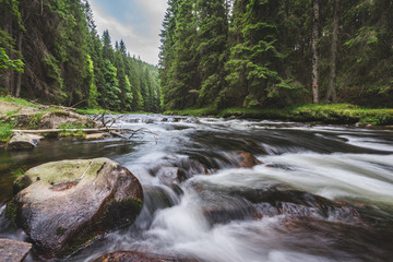 Gebirgsfluss, der in einen tiefgrünen Wald fließt. Langzeitbelichtung, Wasserfluss in Bewegung. Creek im tiefen Alaska wie Wald, Steine und Wasserfall.