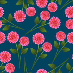 Pink Dahlia on Indigo Blue Background.