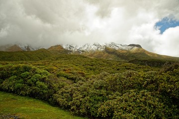 Fototapeta premium Mount Taranaki, volcano in the north island of New Zealand, mostly the peak is covered by clouds