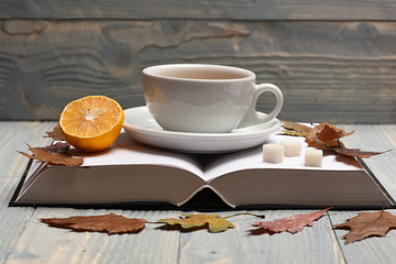 English tea time and reading evening concept. Hot beverage