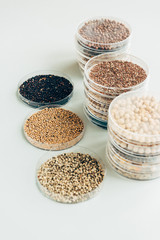 selective focus of various seeds in plastic containers in modern agro laboratory