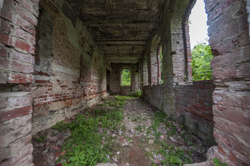 The grassy corridor of the old house